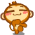 monkey 9